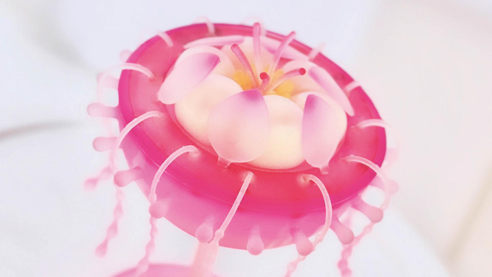 The Blooming Space Supplement