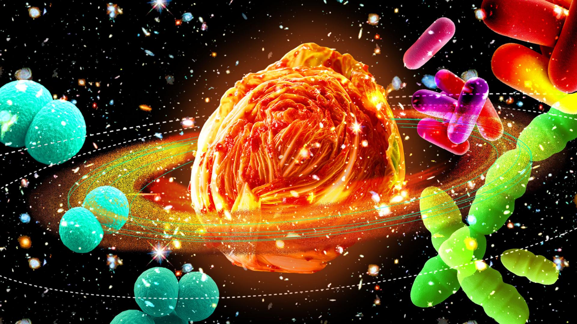 Concept image of Kimjang Chronotope