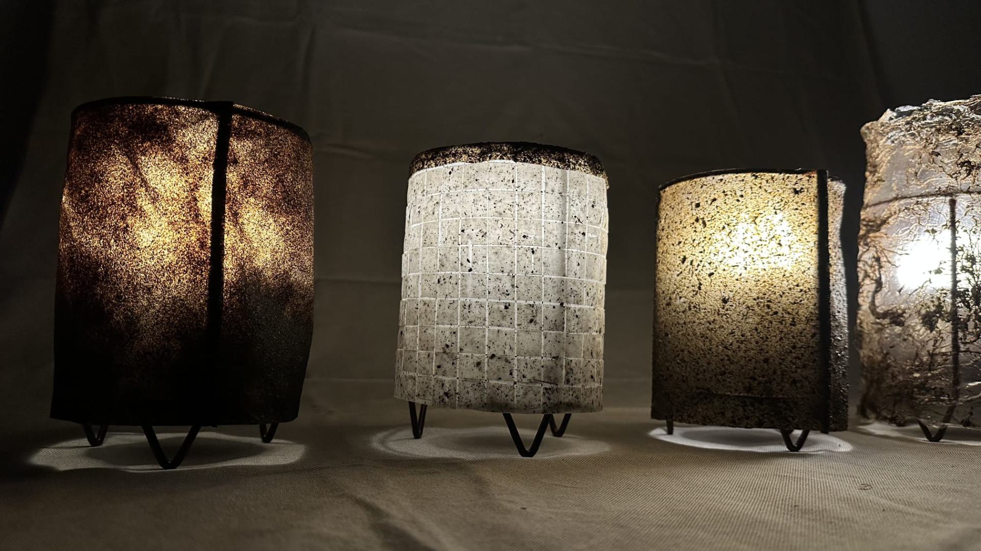 Illuminated Overgrowth - duckweed lamps