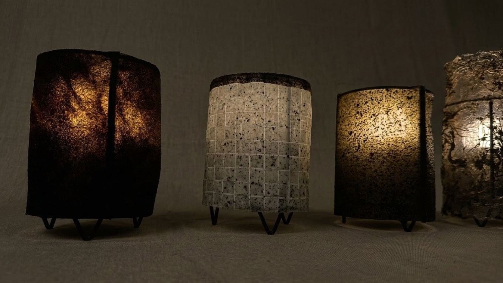 Illuminated Overgrowth - duckweed lamps