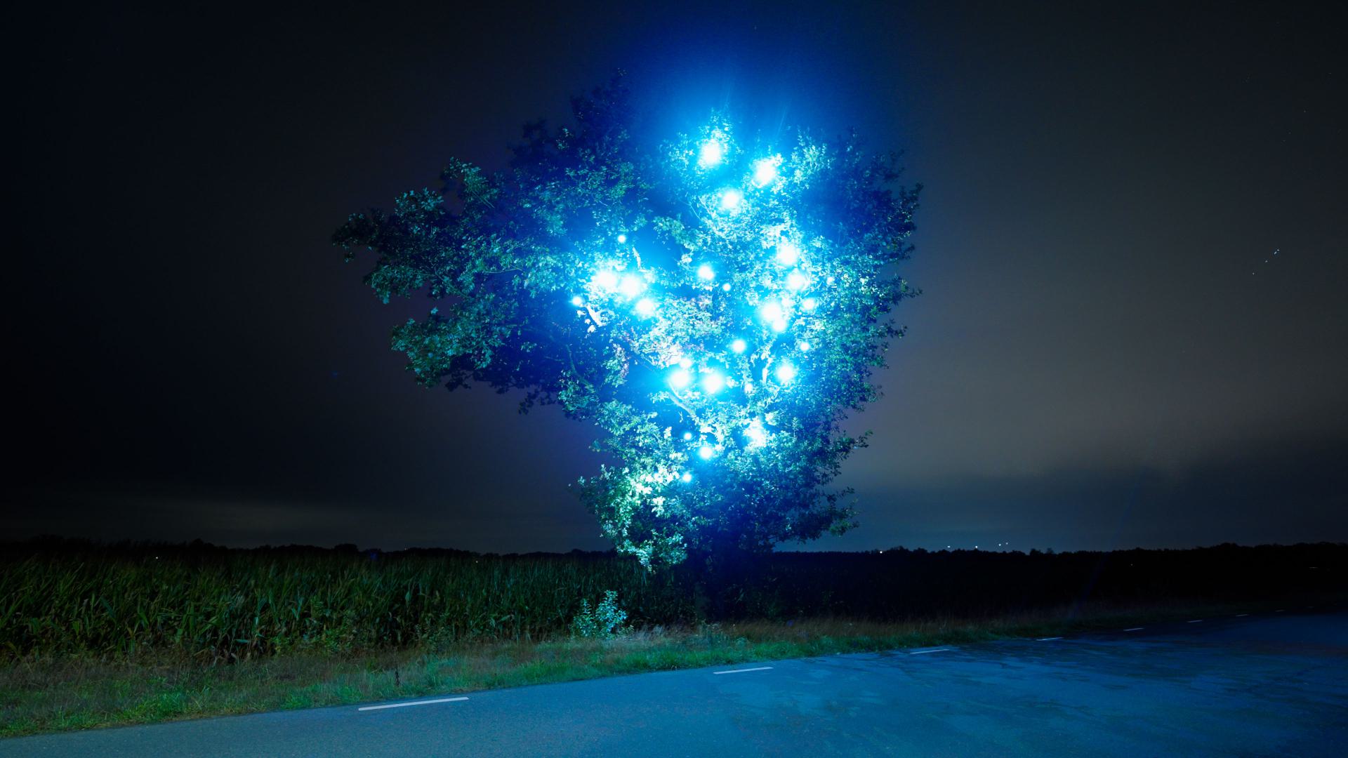 Still of 'Physical Wonder'