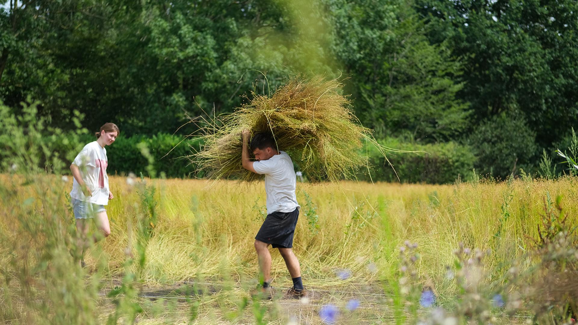 Back to the Flax: from Flax to Linen