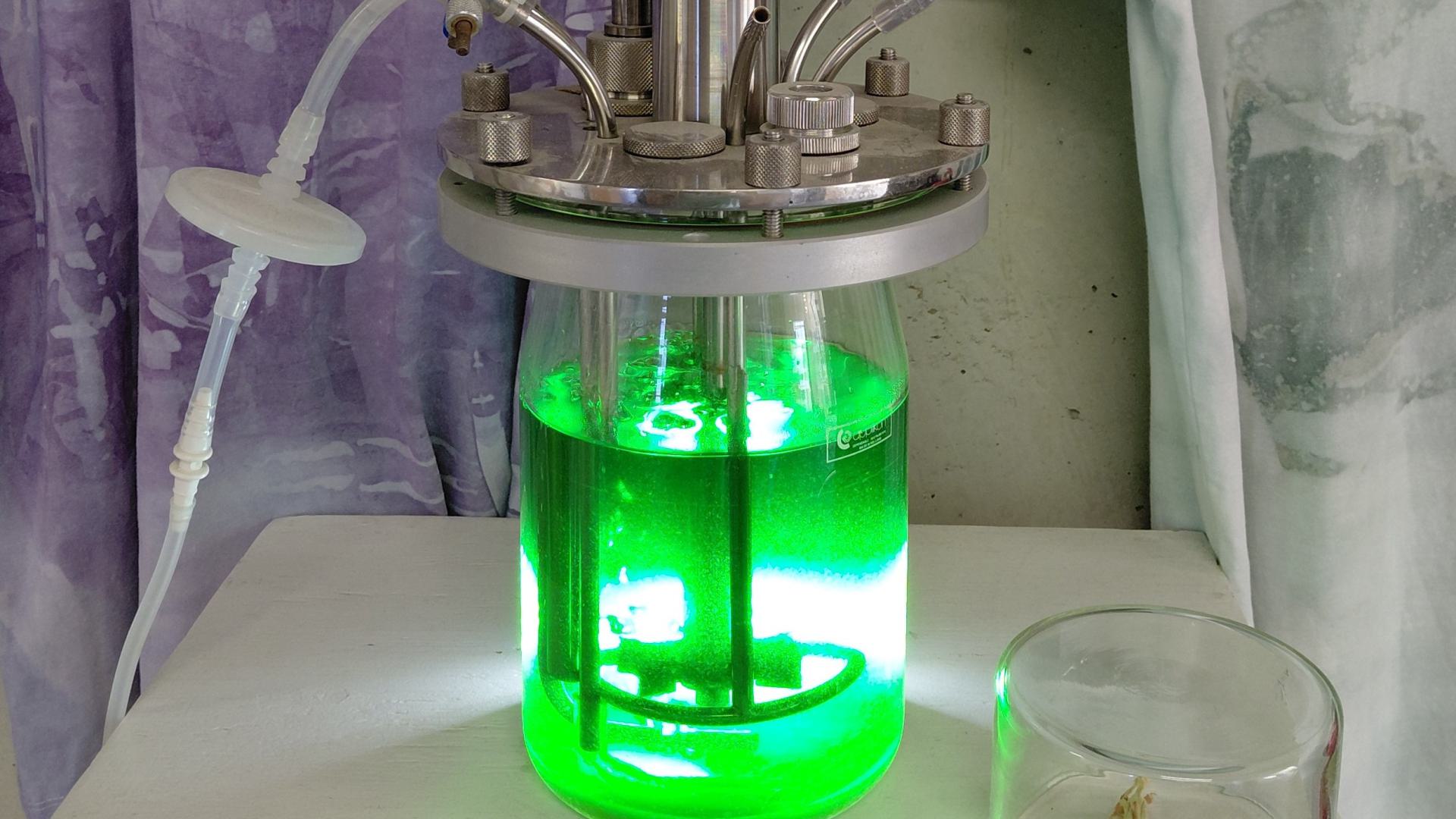 demo fermenter at BlueCity