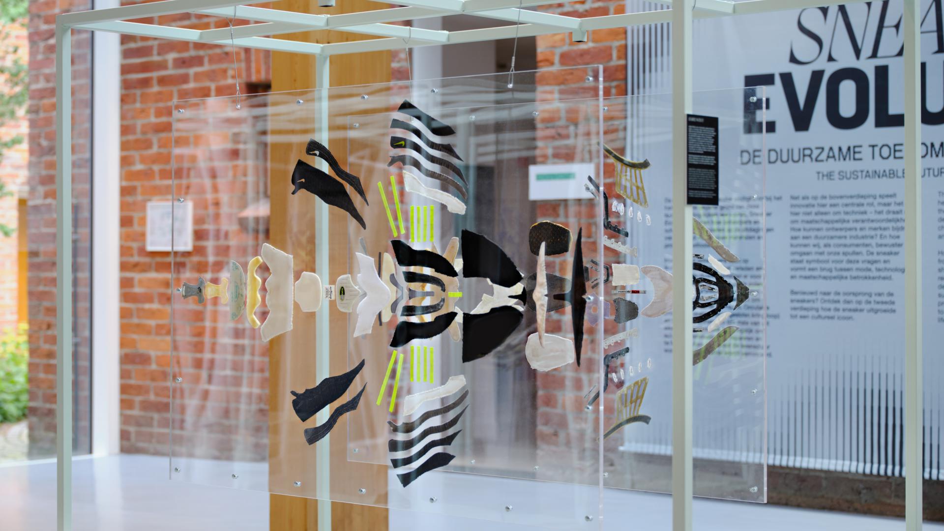 Anatomy 2025 - Isabel Wolfs