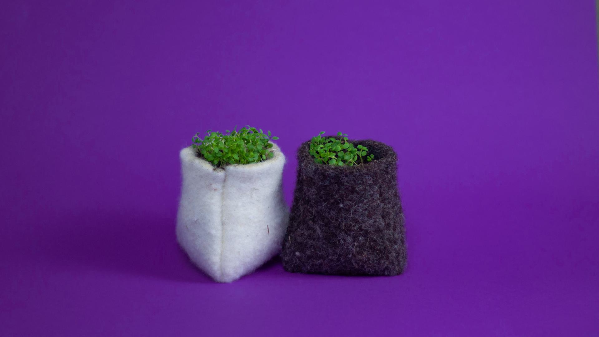 twee DieKees pots