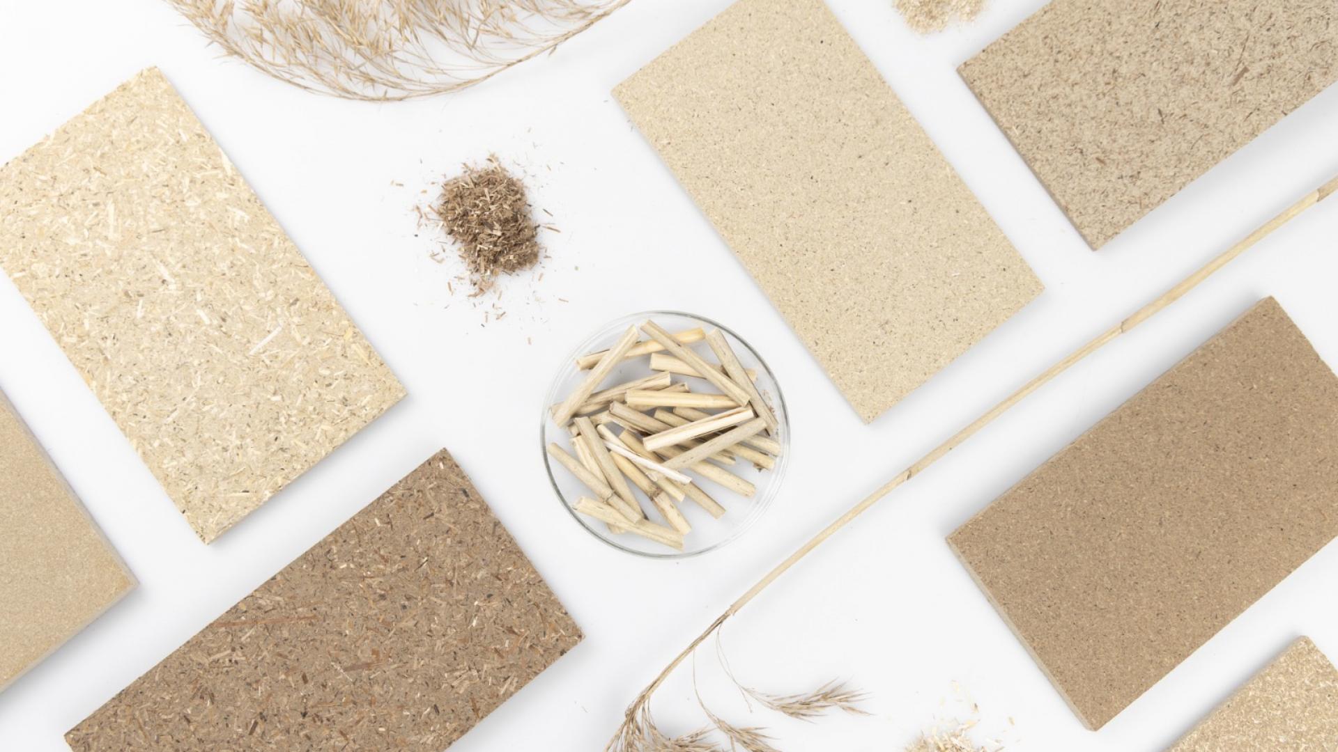 Biodegradable panels from common reed