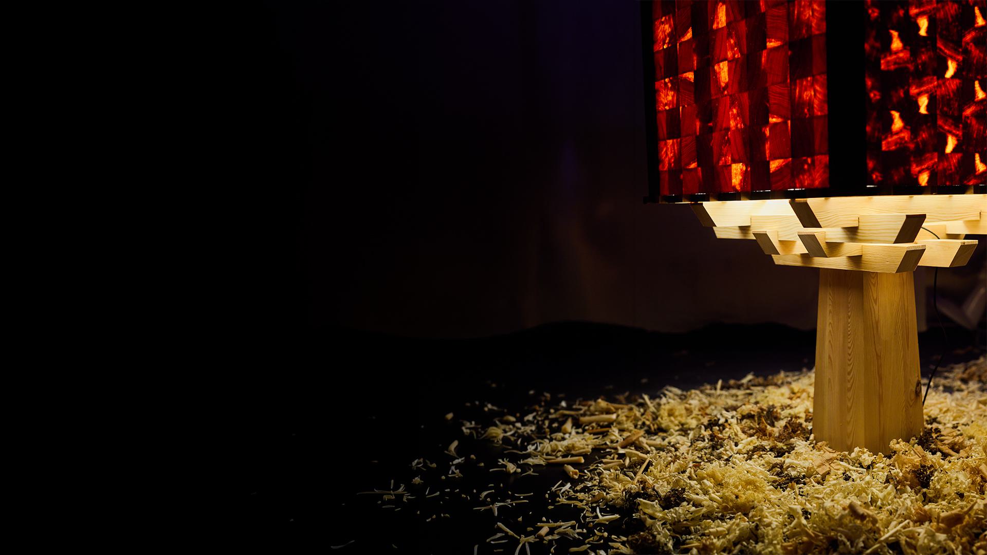 Growth takes shape through light.