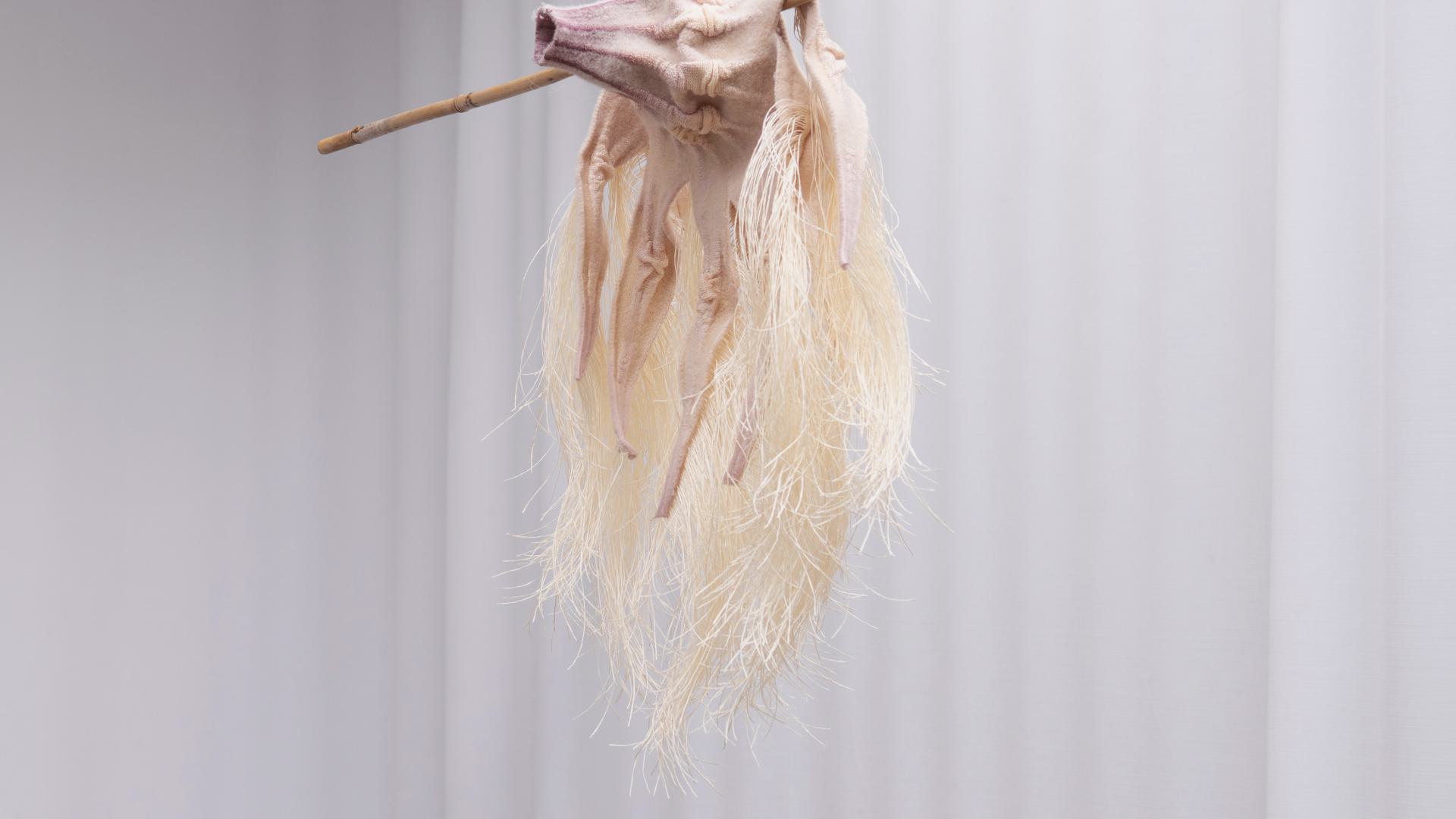 Soft Companion Sample