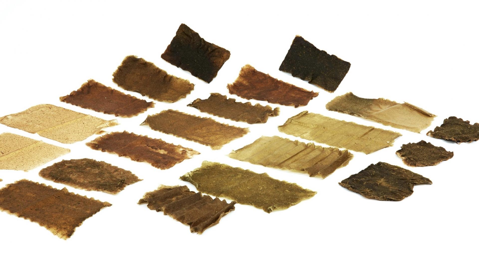 Biomaterial experiments