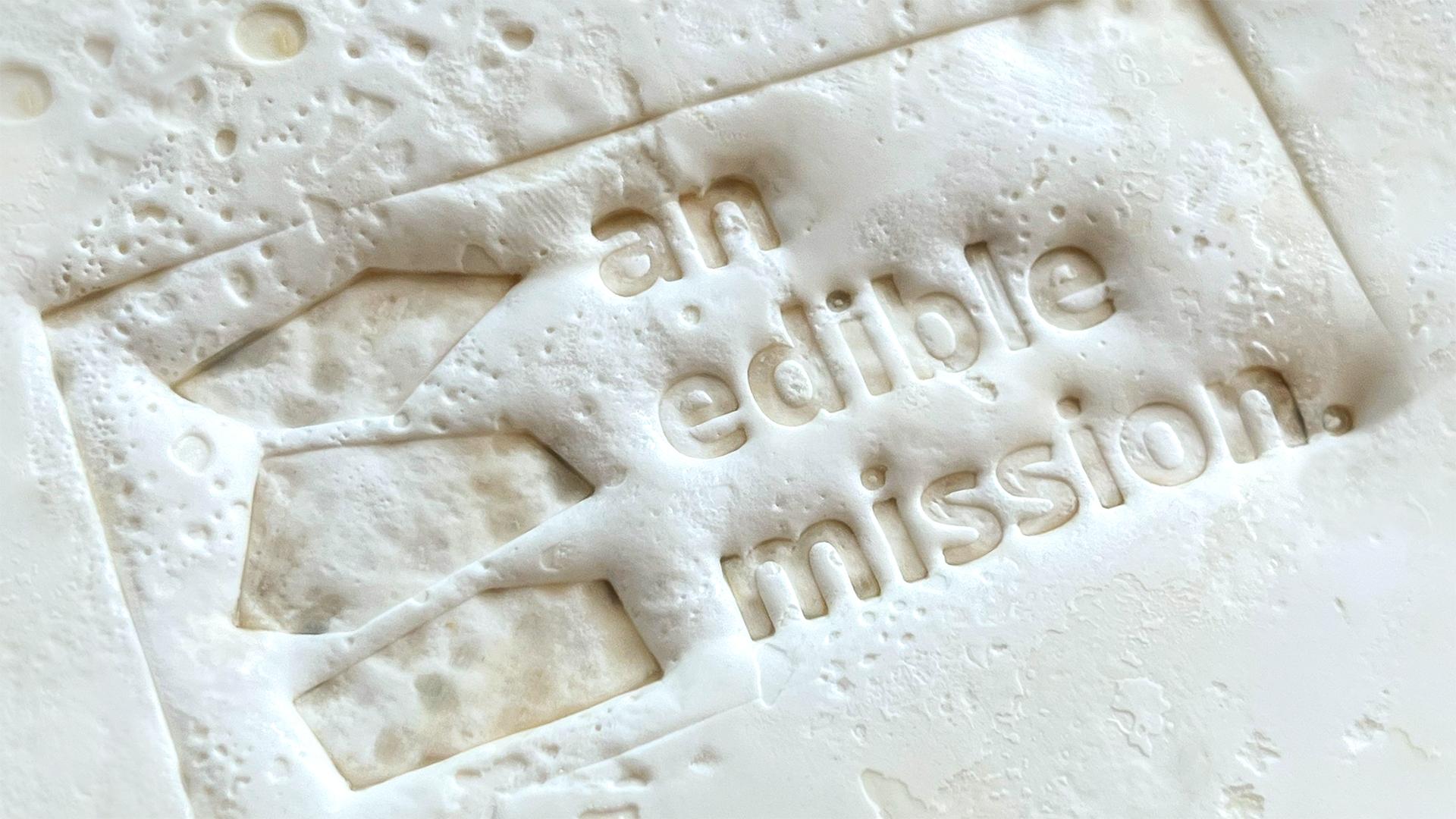 Logo pressed in Mycelium