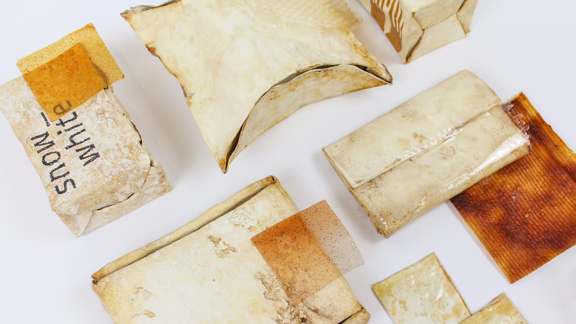 Different types of bio-packaging