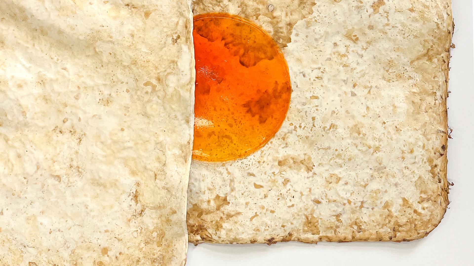 Fusion of Mycelium and Algae surfaces