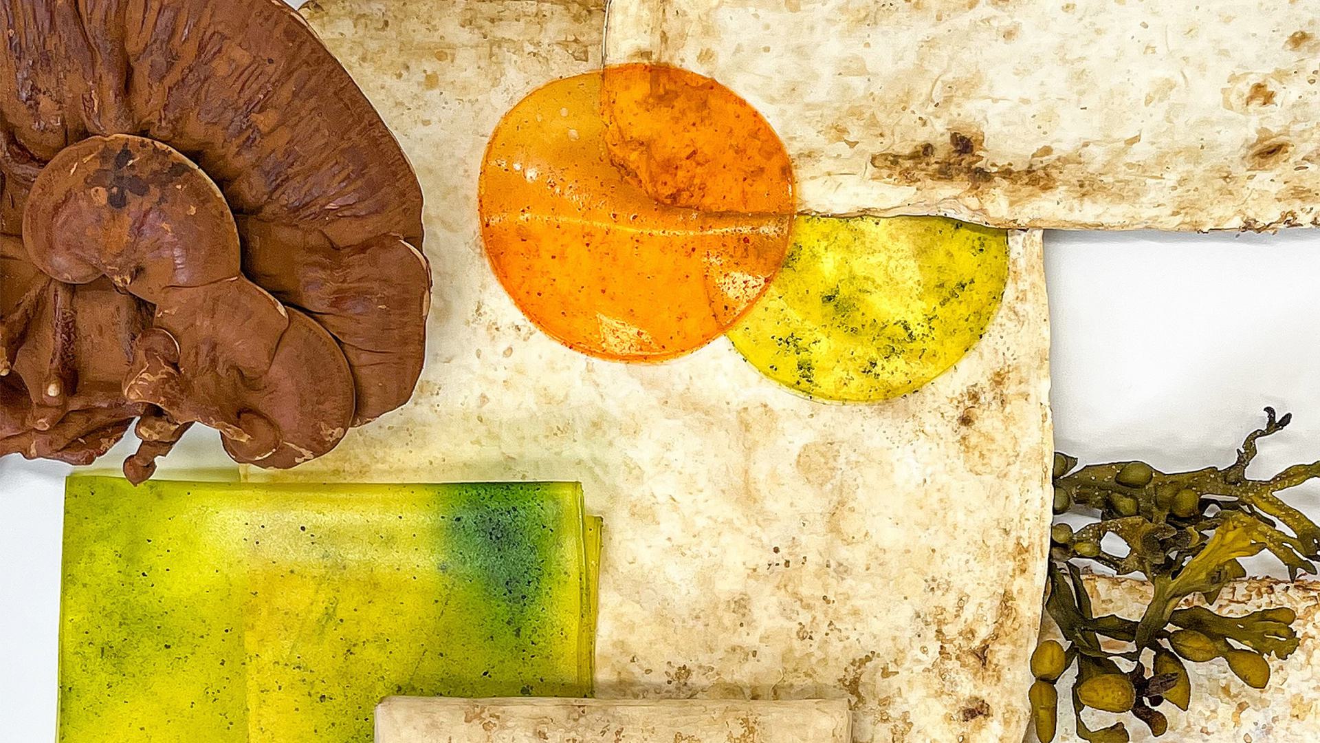 An edible mission. Fusion of Materials_