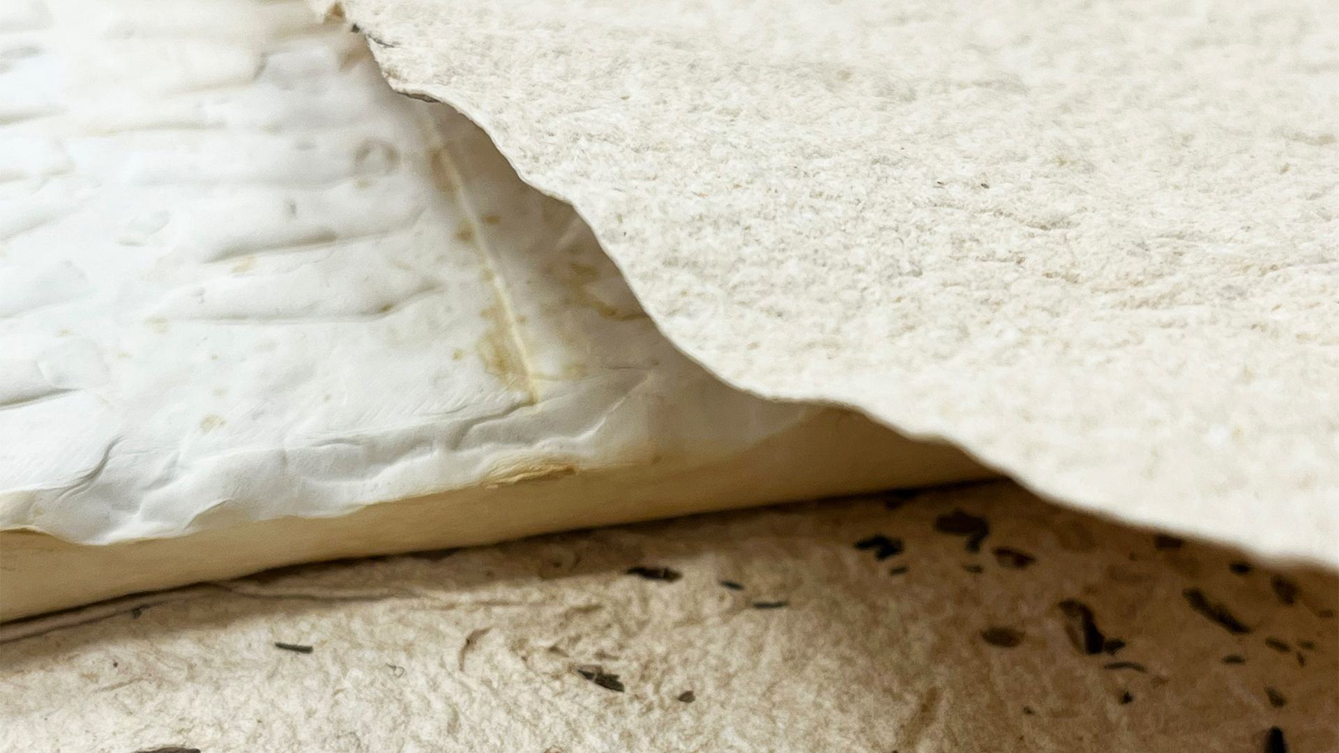 Different Mycelium surfaces