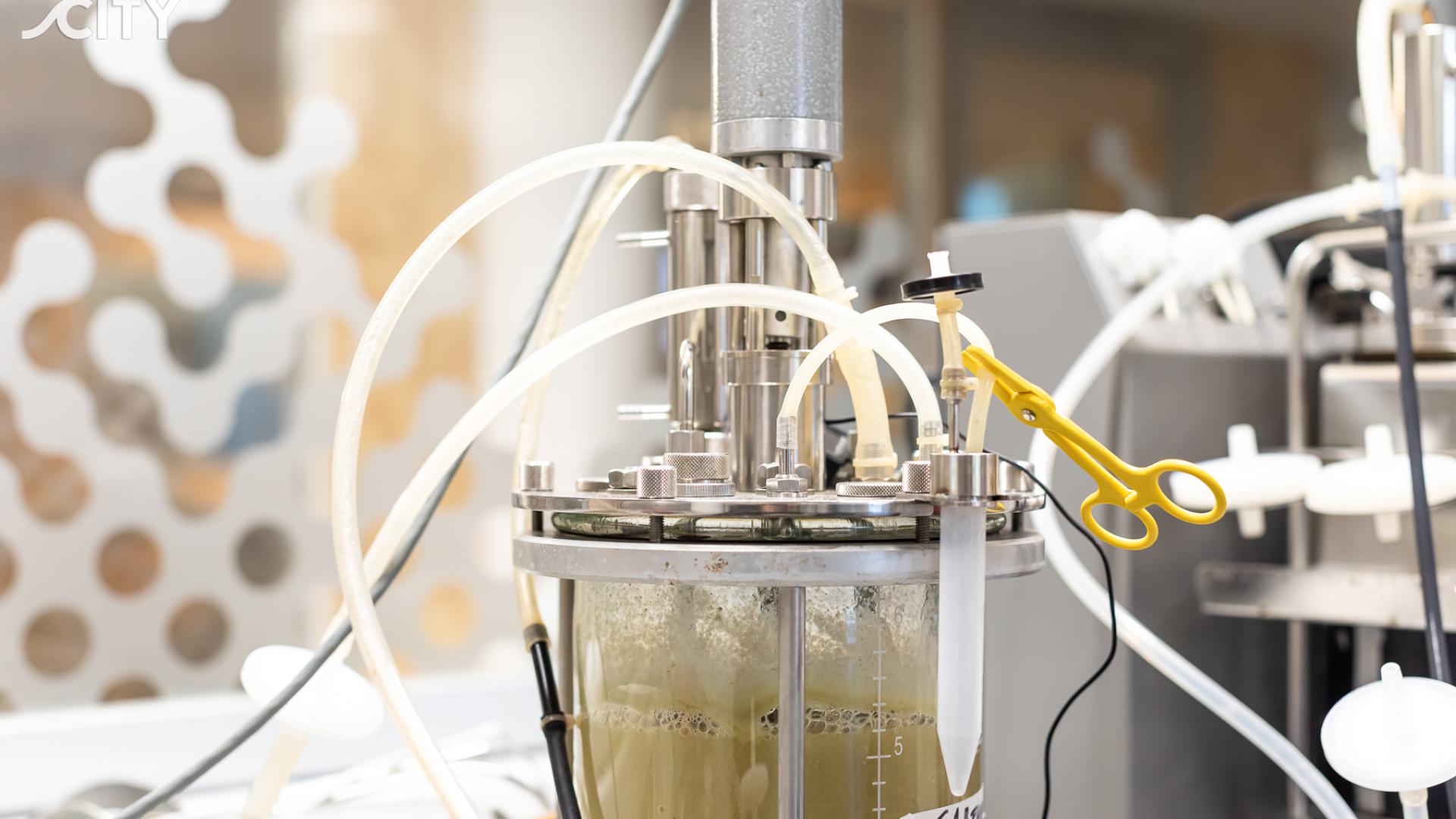 fermentor with fungi