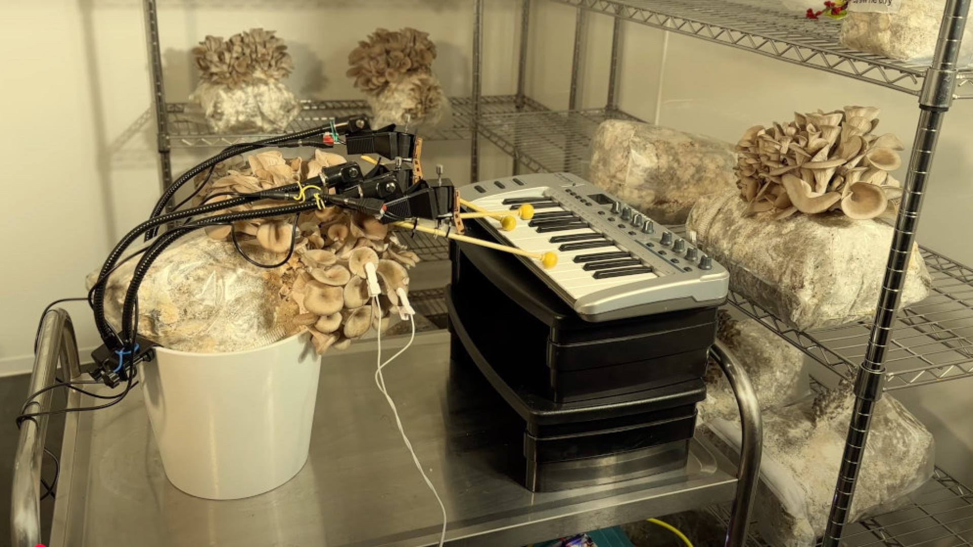 A fusion of technology, Art and Nature