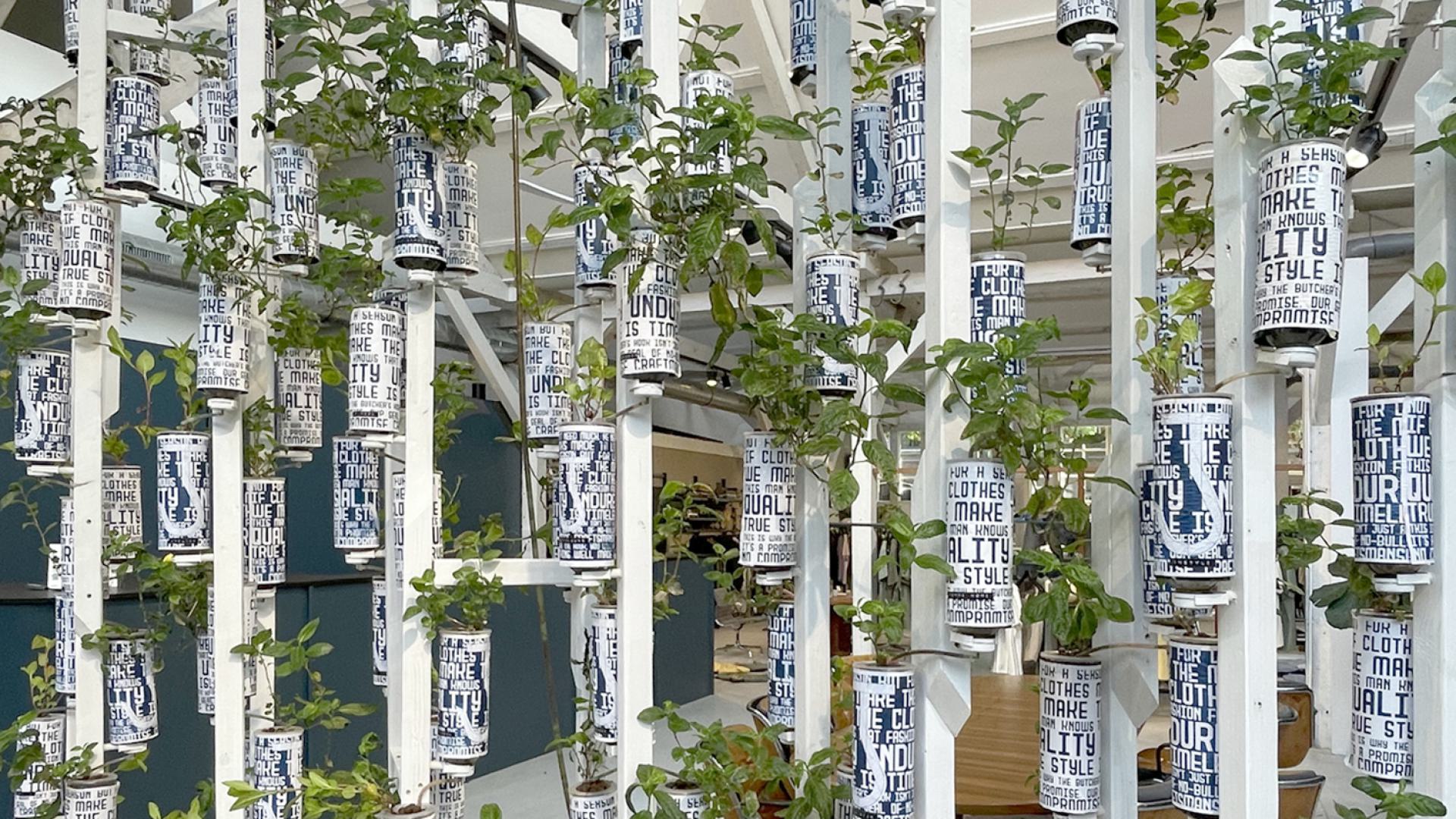 Indigo Hydroponic system