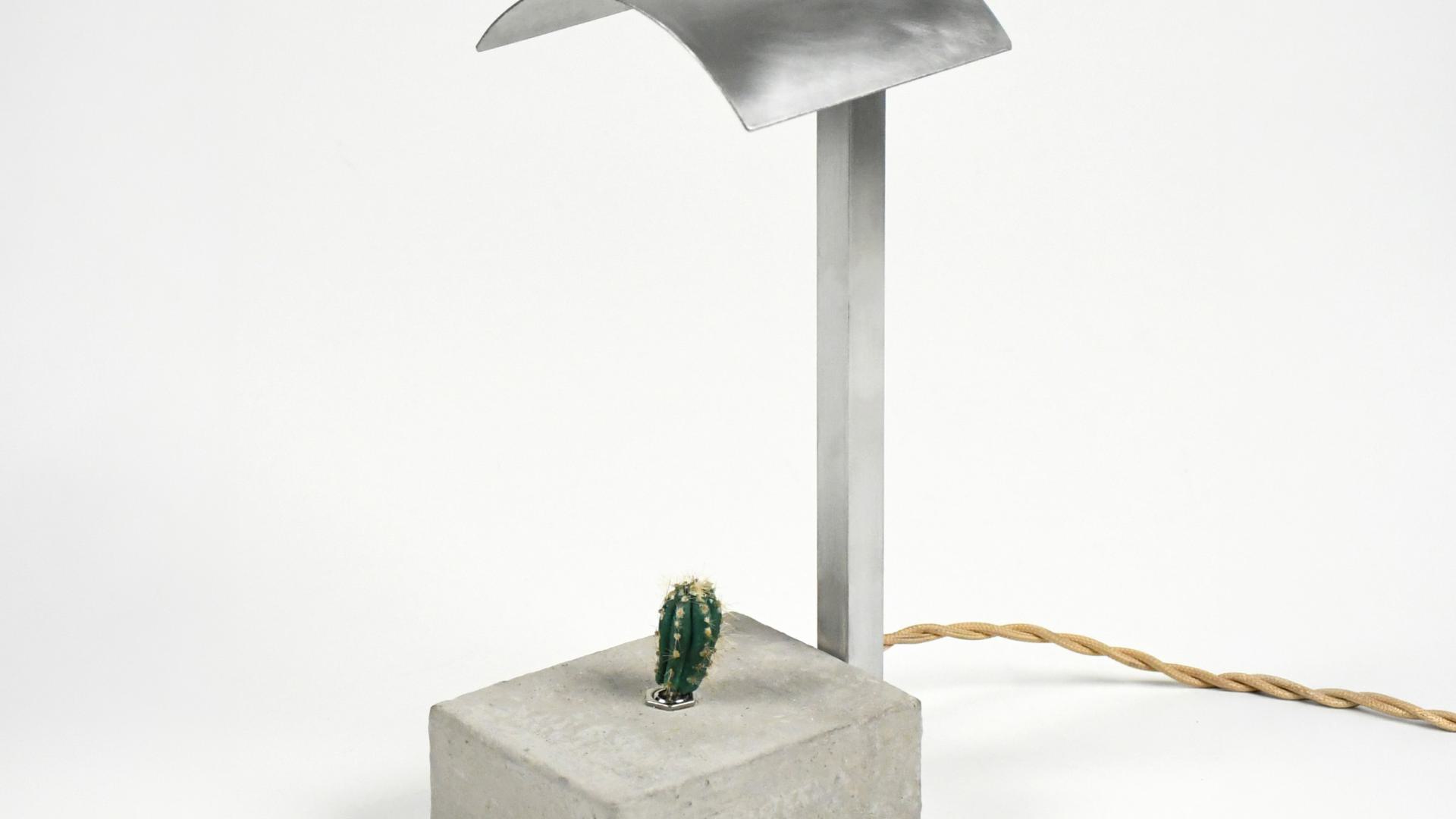 Cactus Lamp