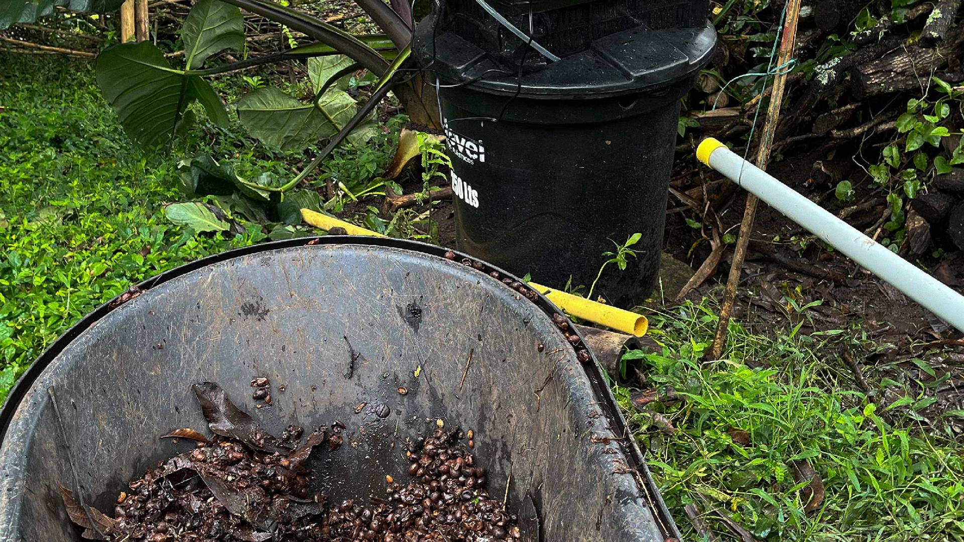 Prototype: circulation tank and coffee pulp