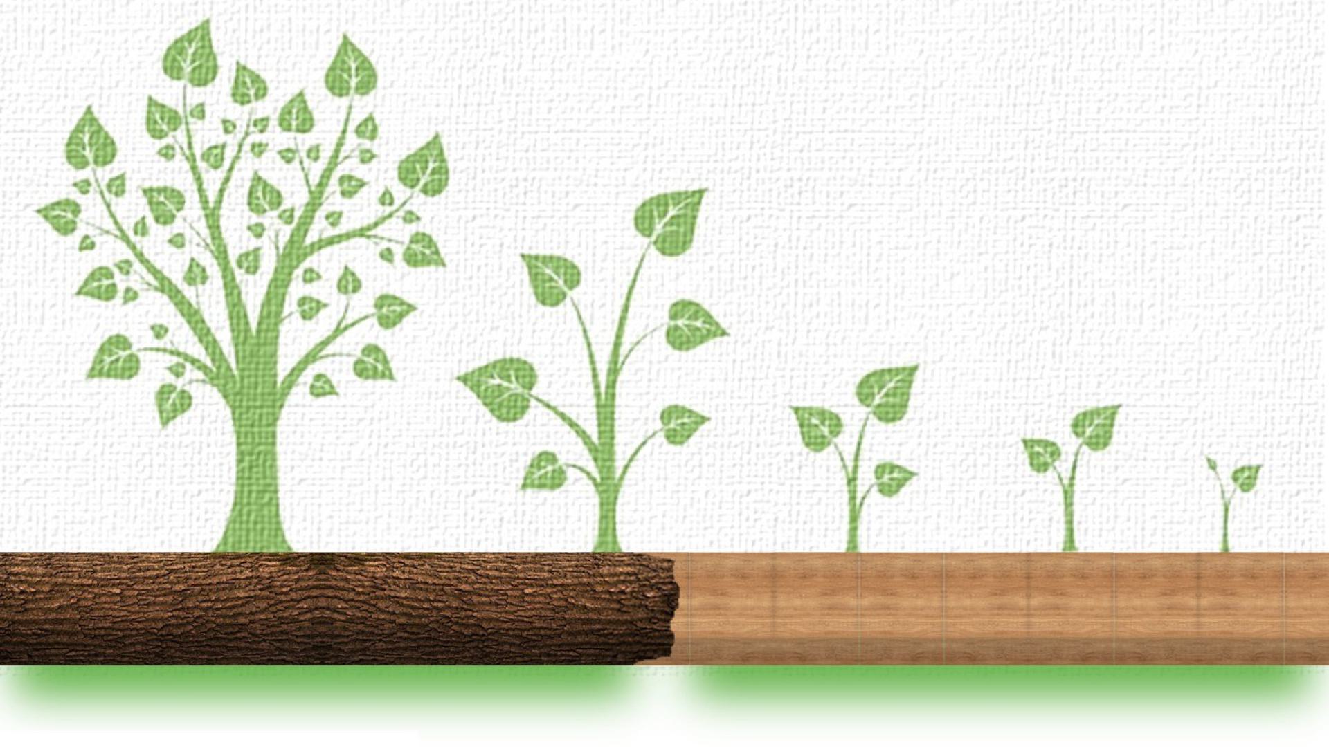 LEAFE - Concept Art
