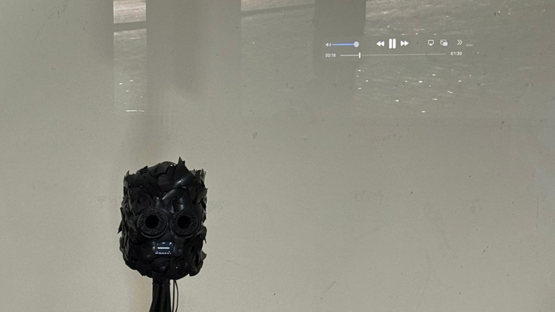 Heartbeat in the Gaze_Installation