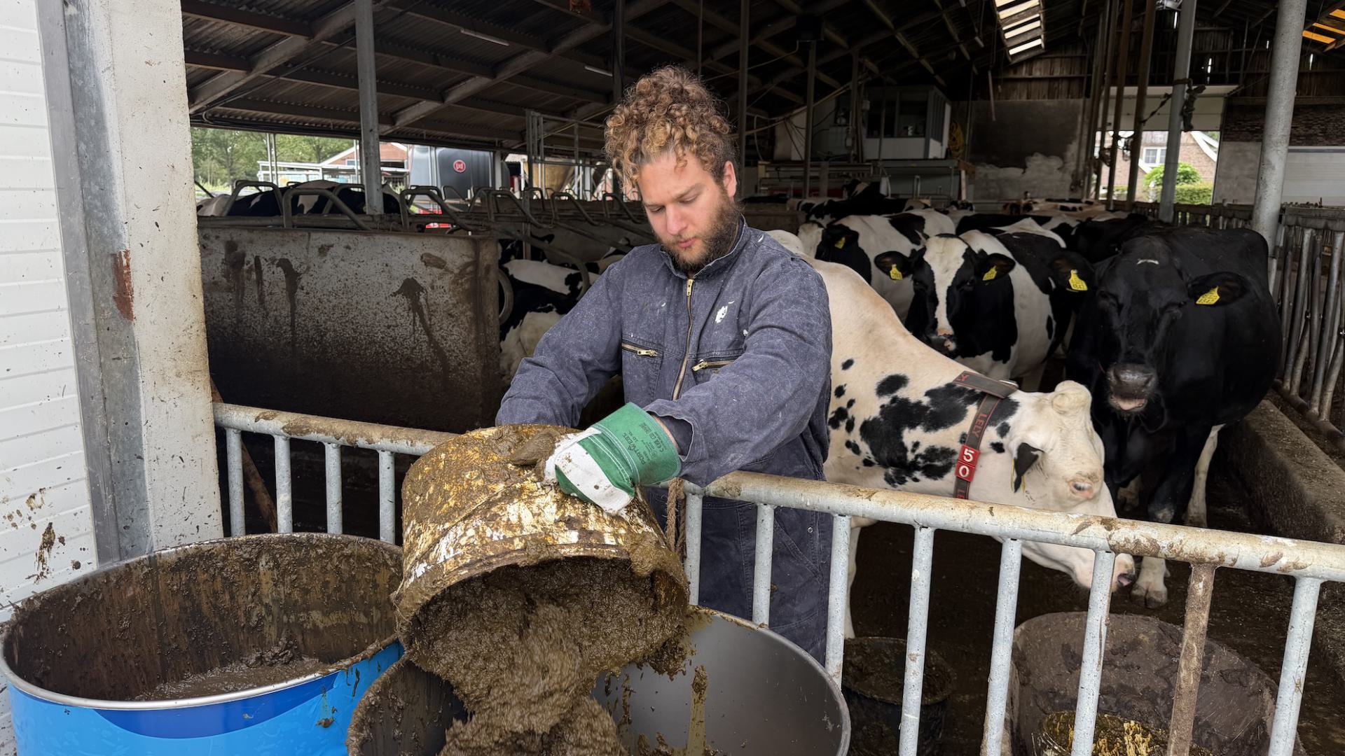 Collecting Dutch Cowdung for CoolBricks