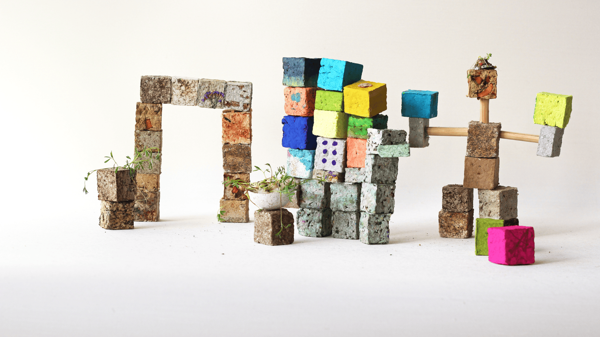 Cubcho: From Waste to Wonder