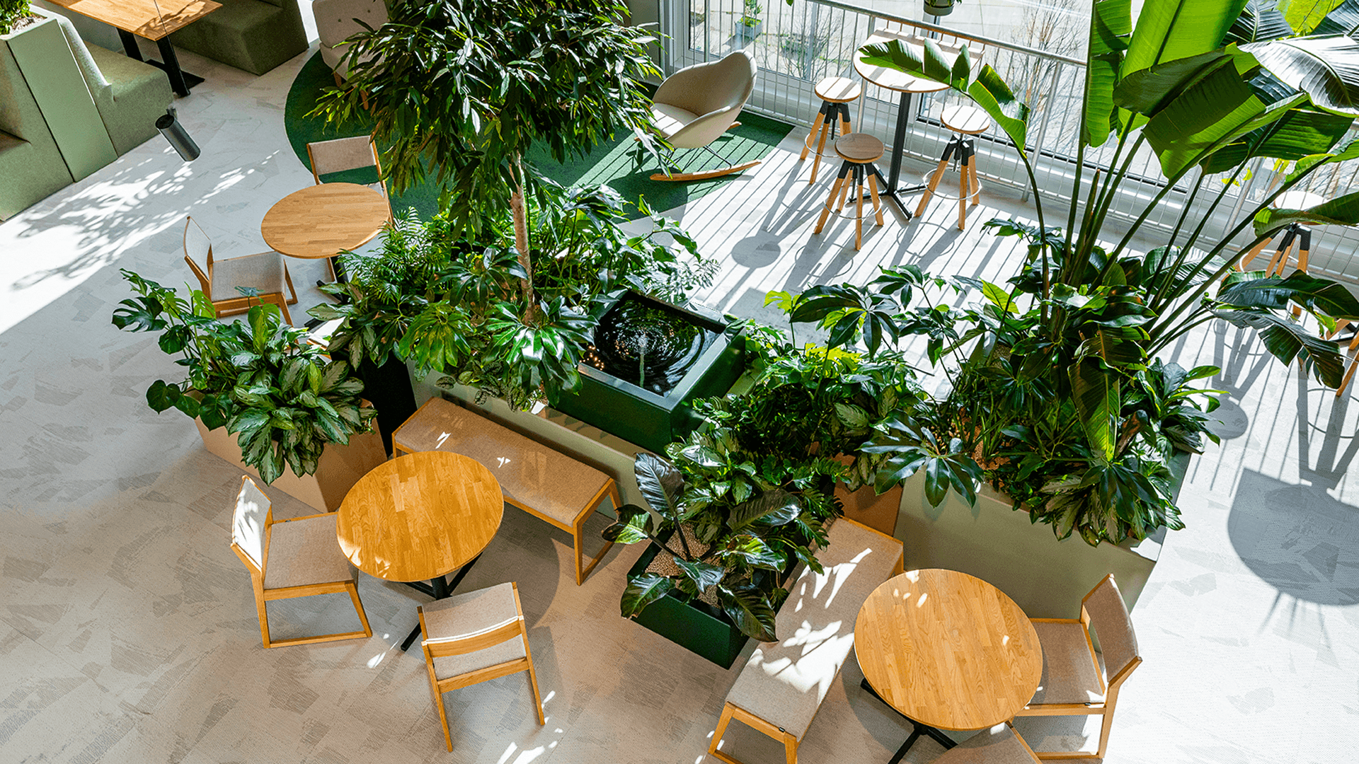 De oase in gebouw Donna - Biophilic Design concept