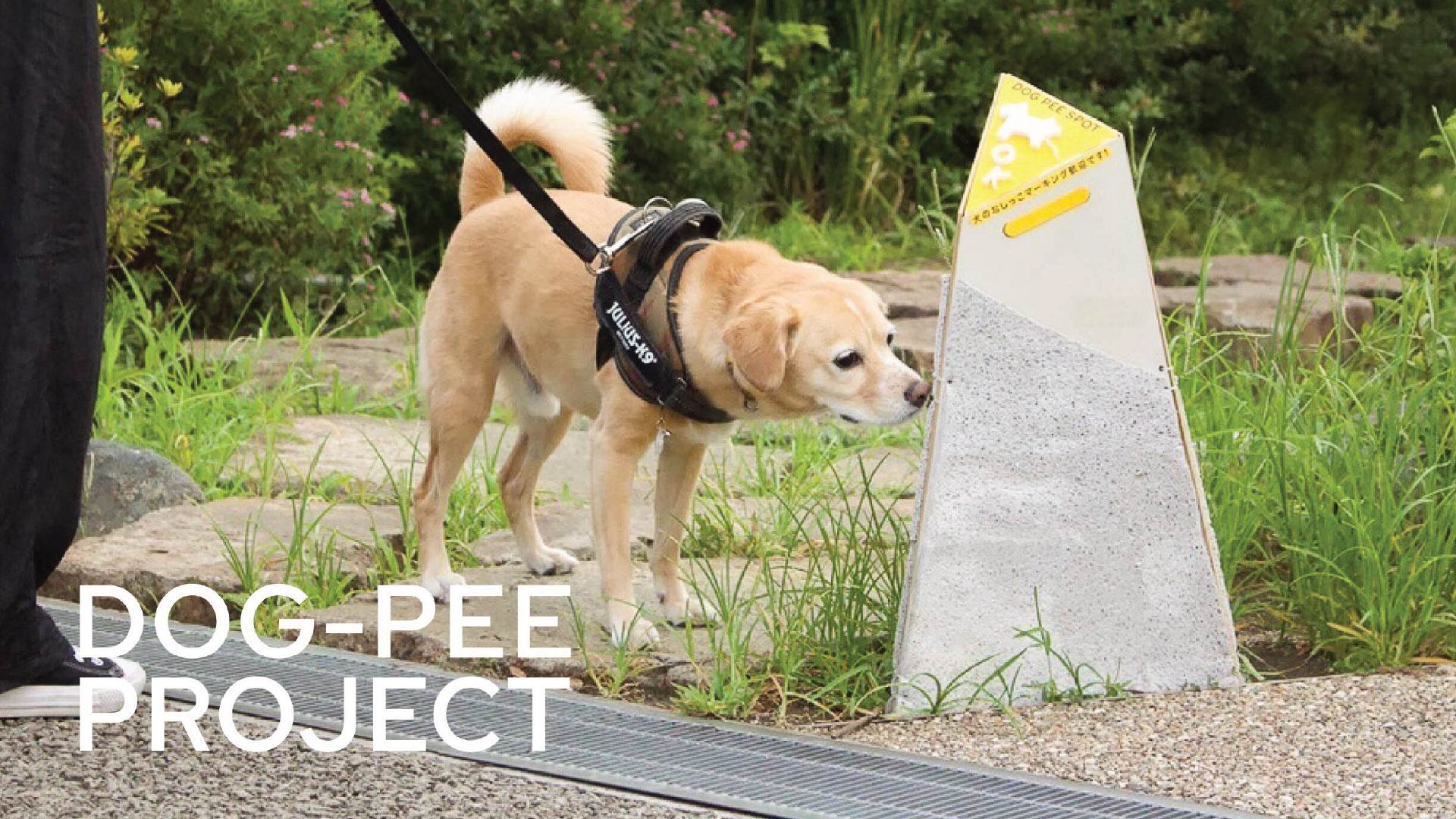 DOG-PEE SPOT in Use