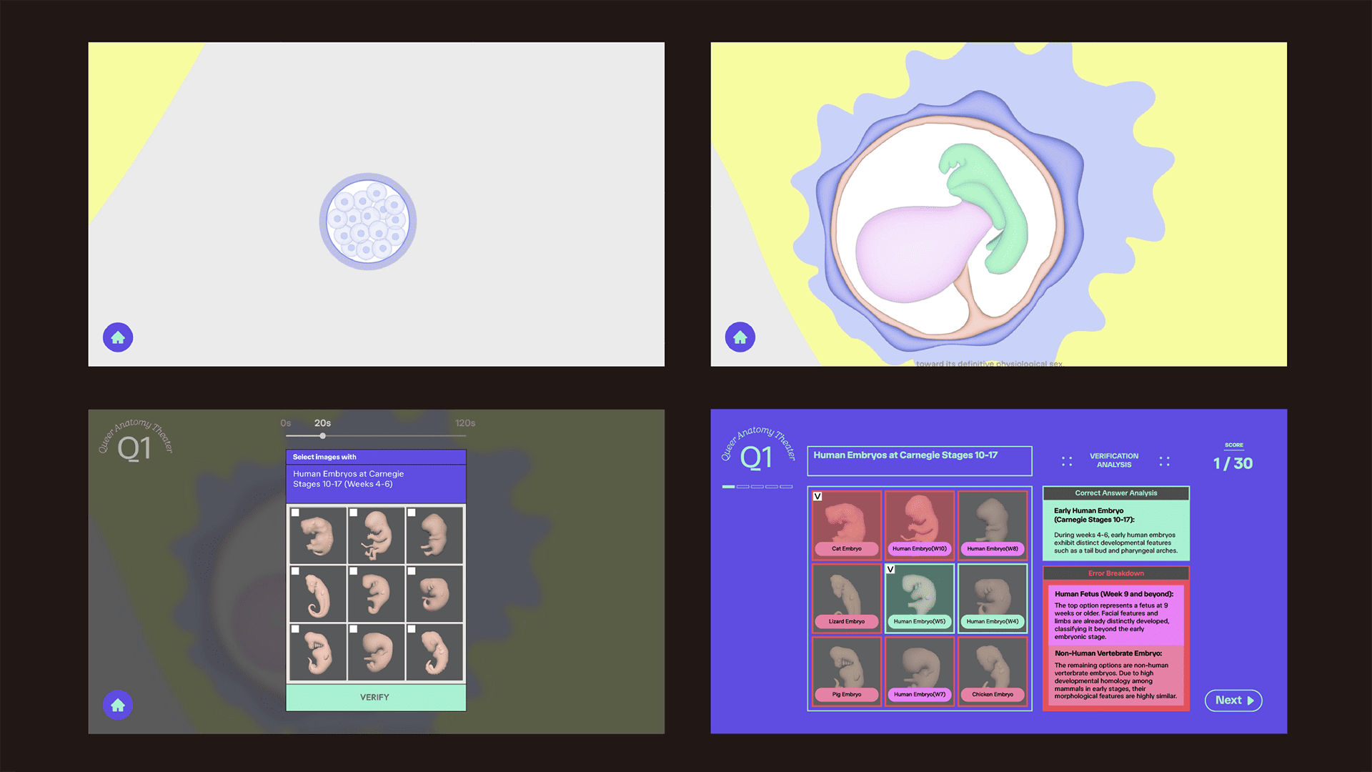 Lesson 1 — Interactive Interface