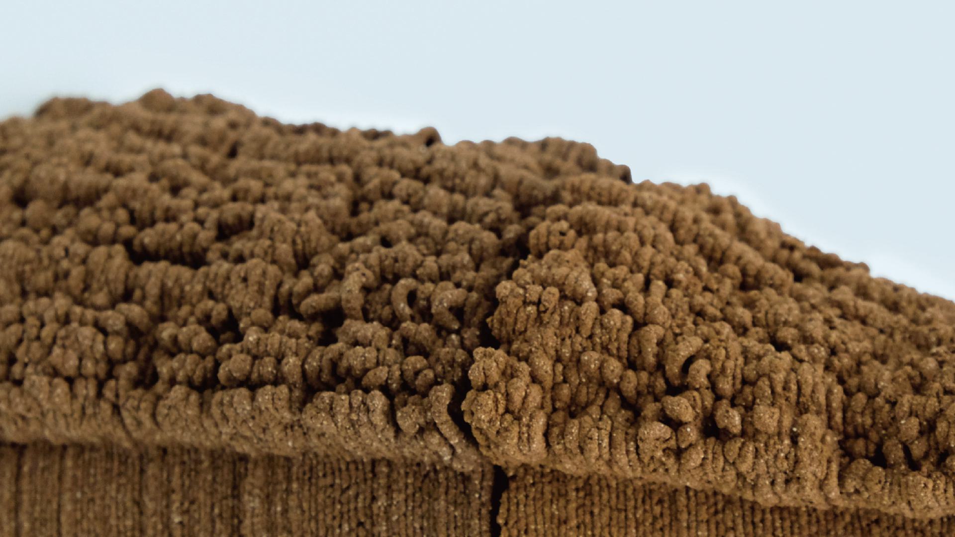 Bark morphology encoded into the surface.