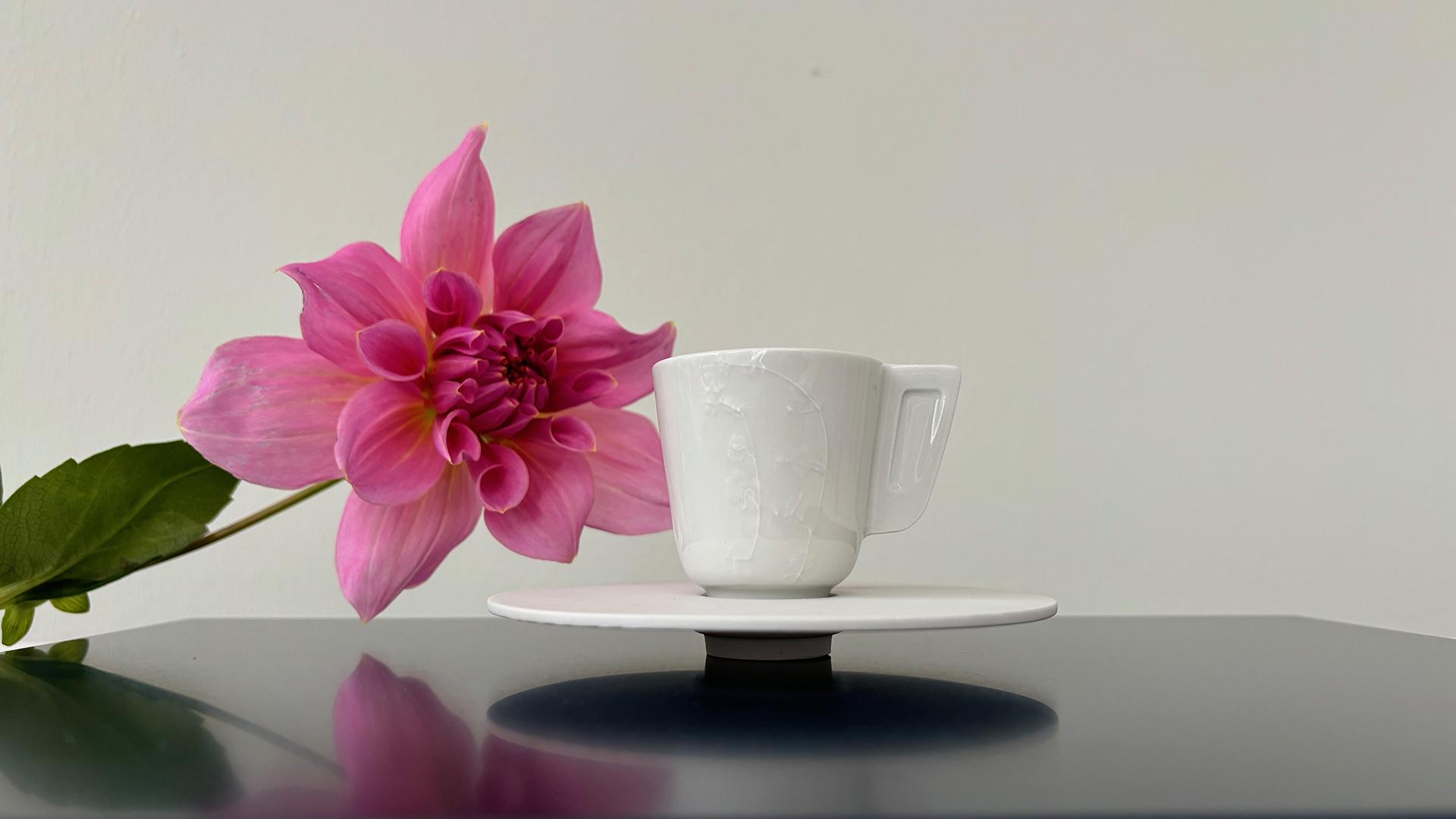 Flora Aeterna