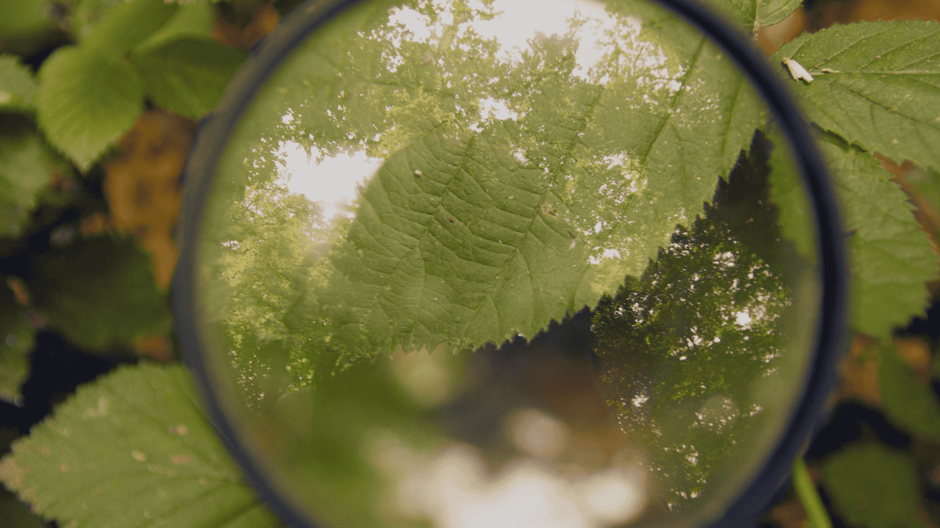 PrototypingDetails Forest Design Workshop