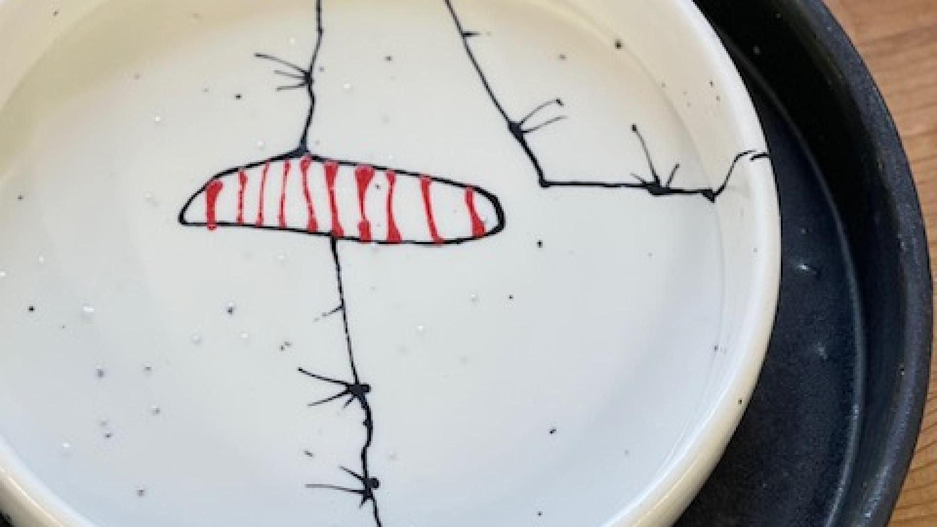 SKOTTA drawing on porcelain