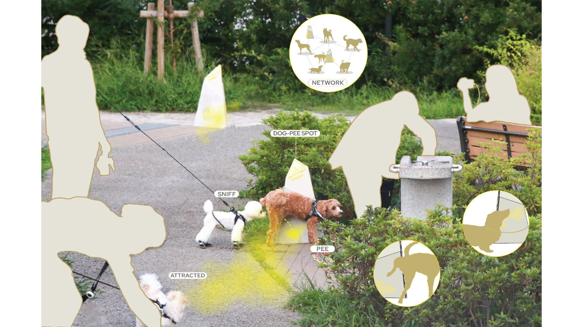 Concept Diagram of DOG-PEE SPOT