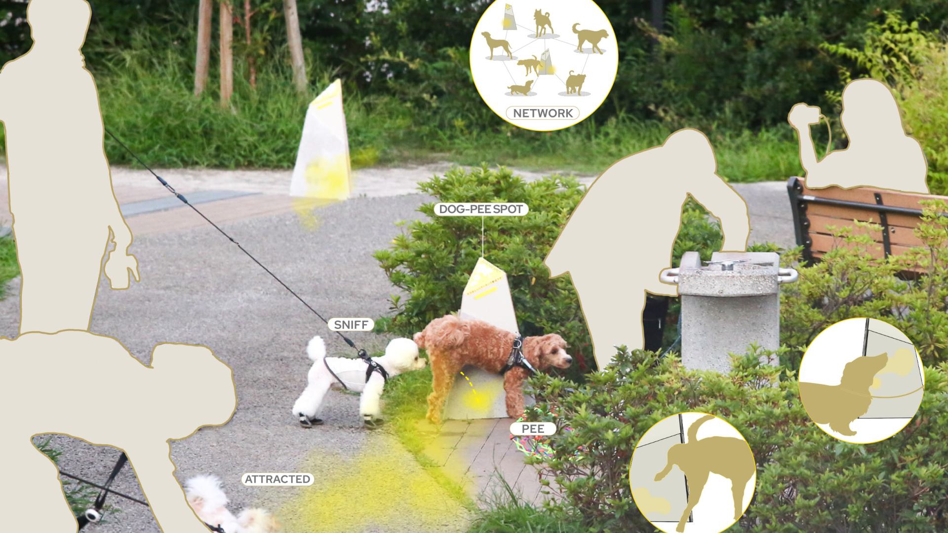DOG-PEE PROJECT