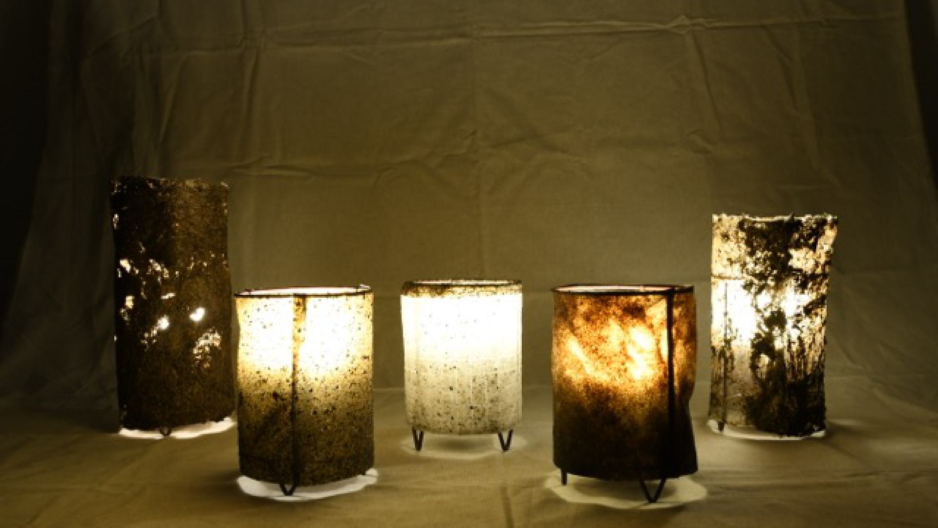Illuminated Overgrowth - duckweed lamps