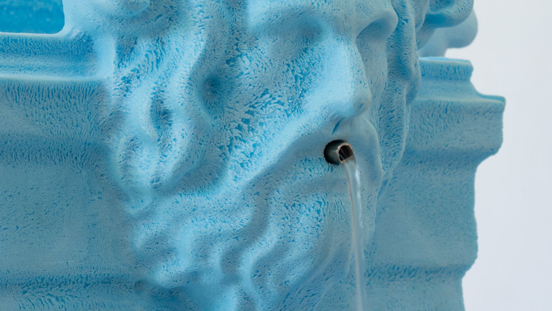 Paulina Vasiliauskaitė, Fountain, 2024