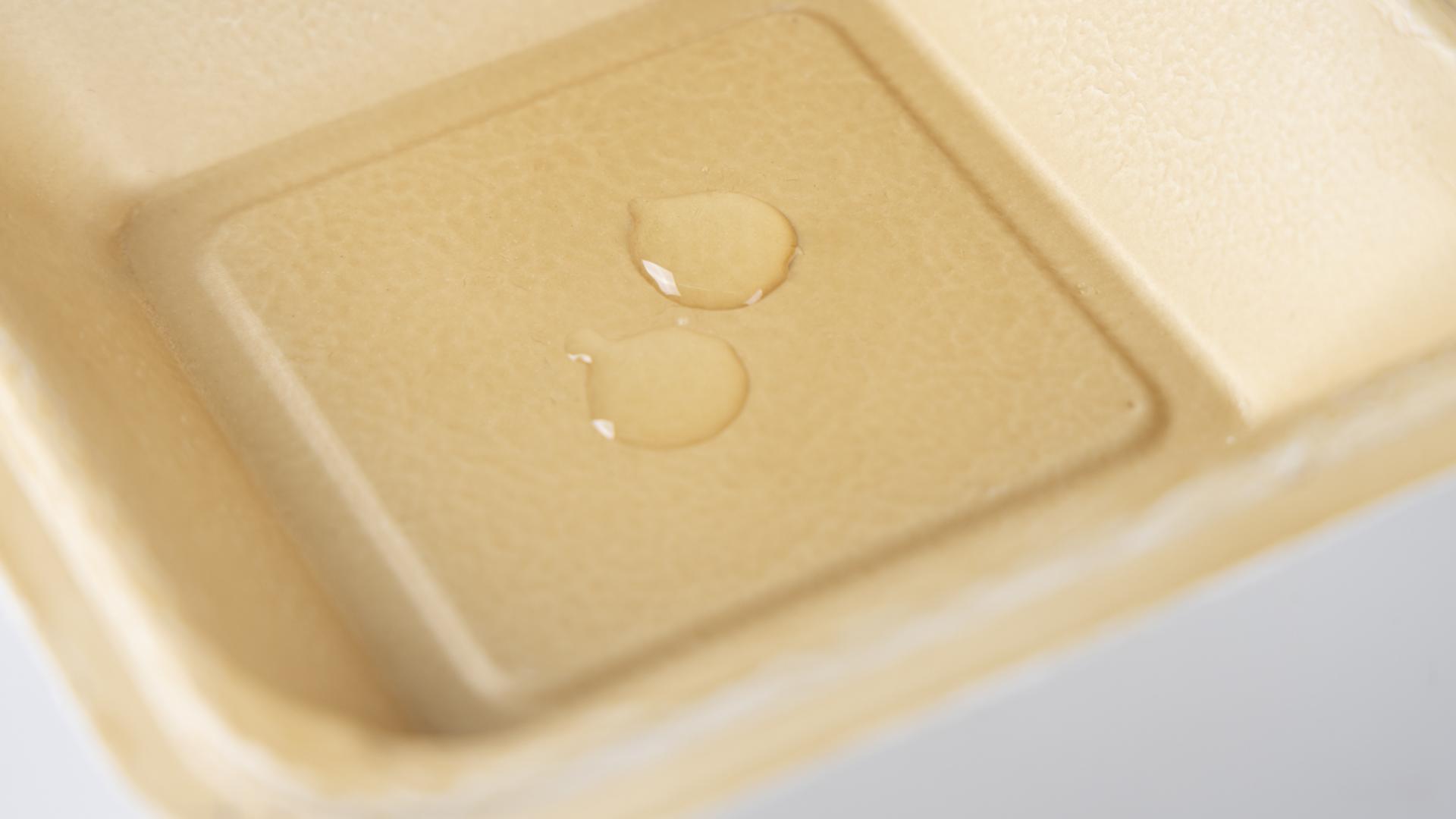 Hydrophopic bio-based coating on a package
