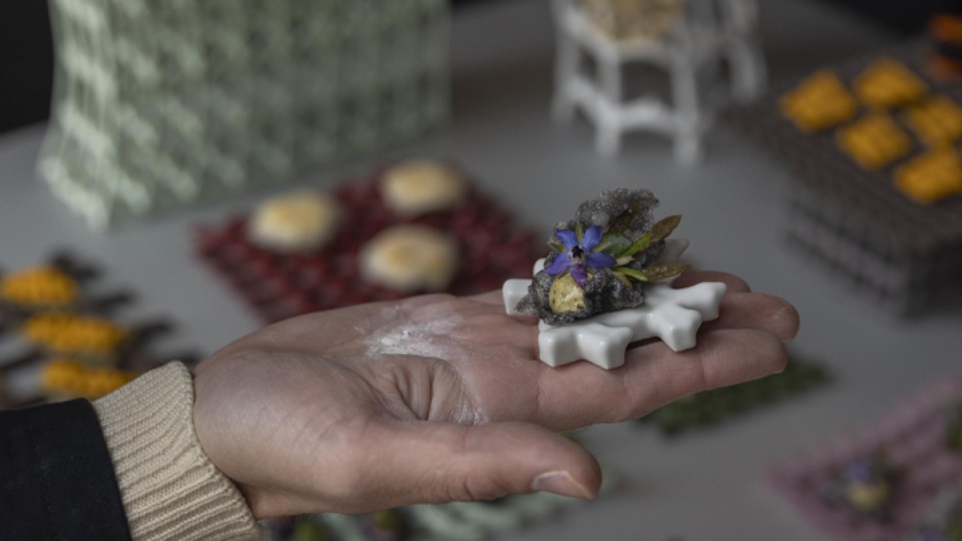 VoertaalStudio x Atelier Fig