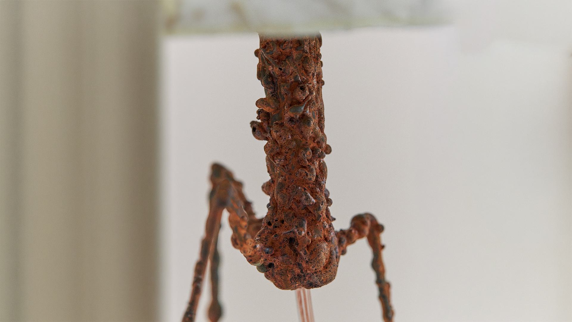 Critter Rusty Detail