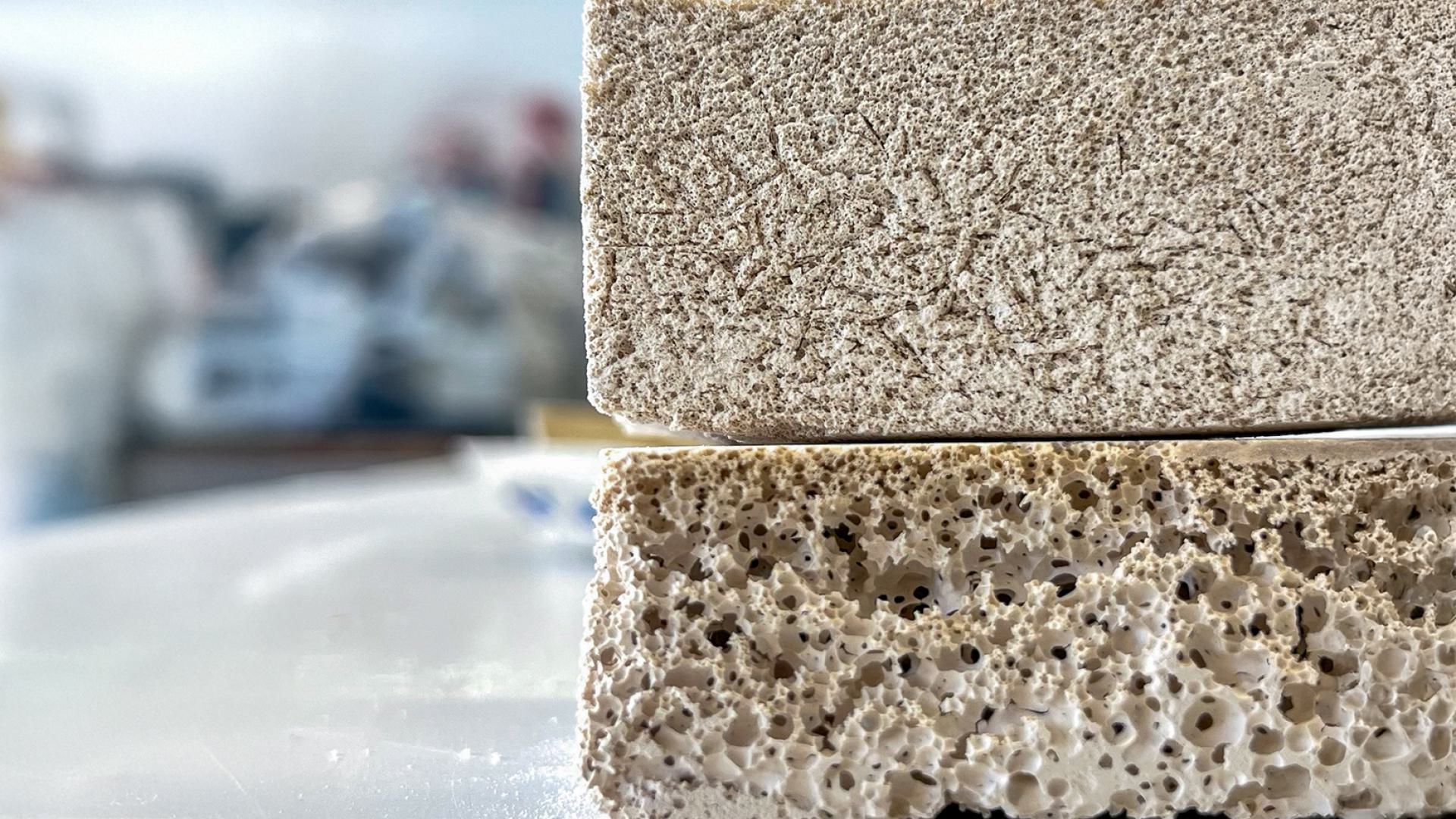 Foam Drying