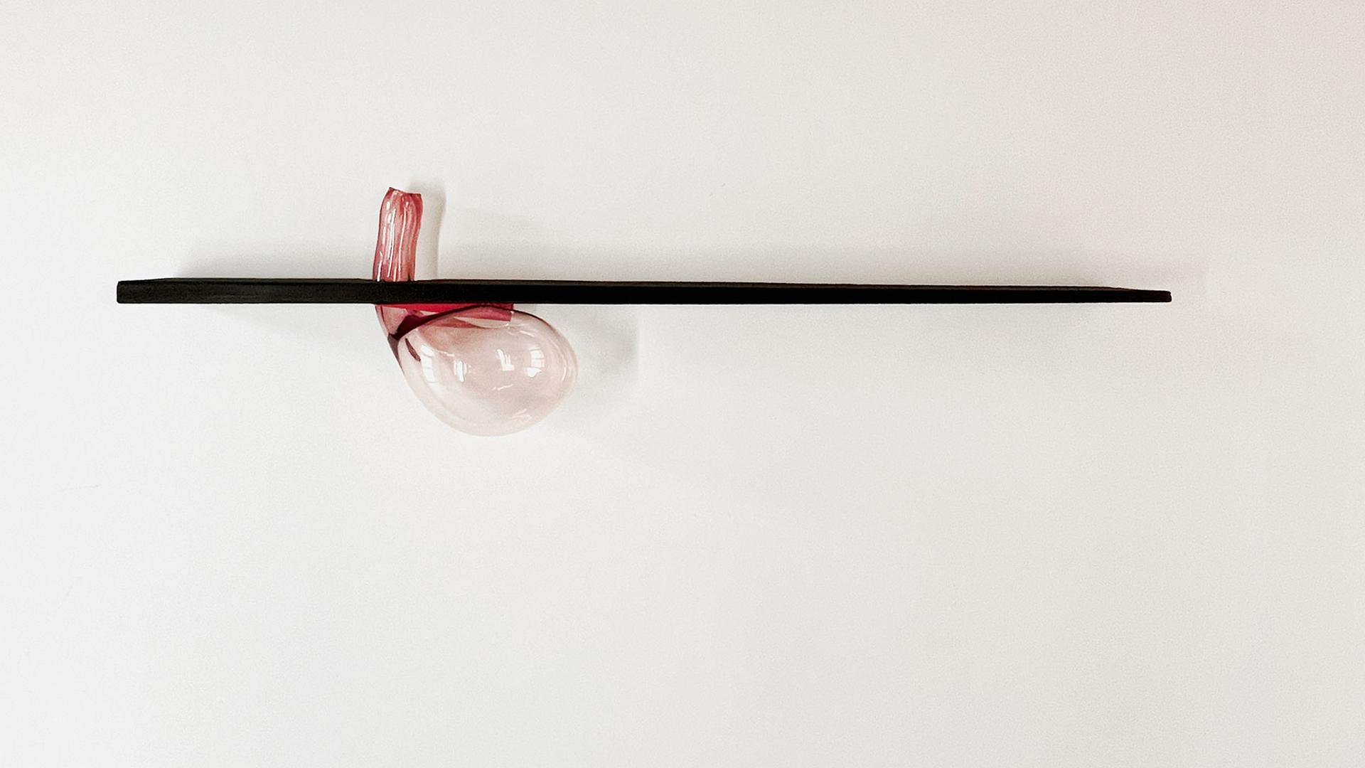 shelf ⎪ schap