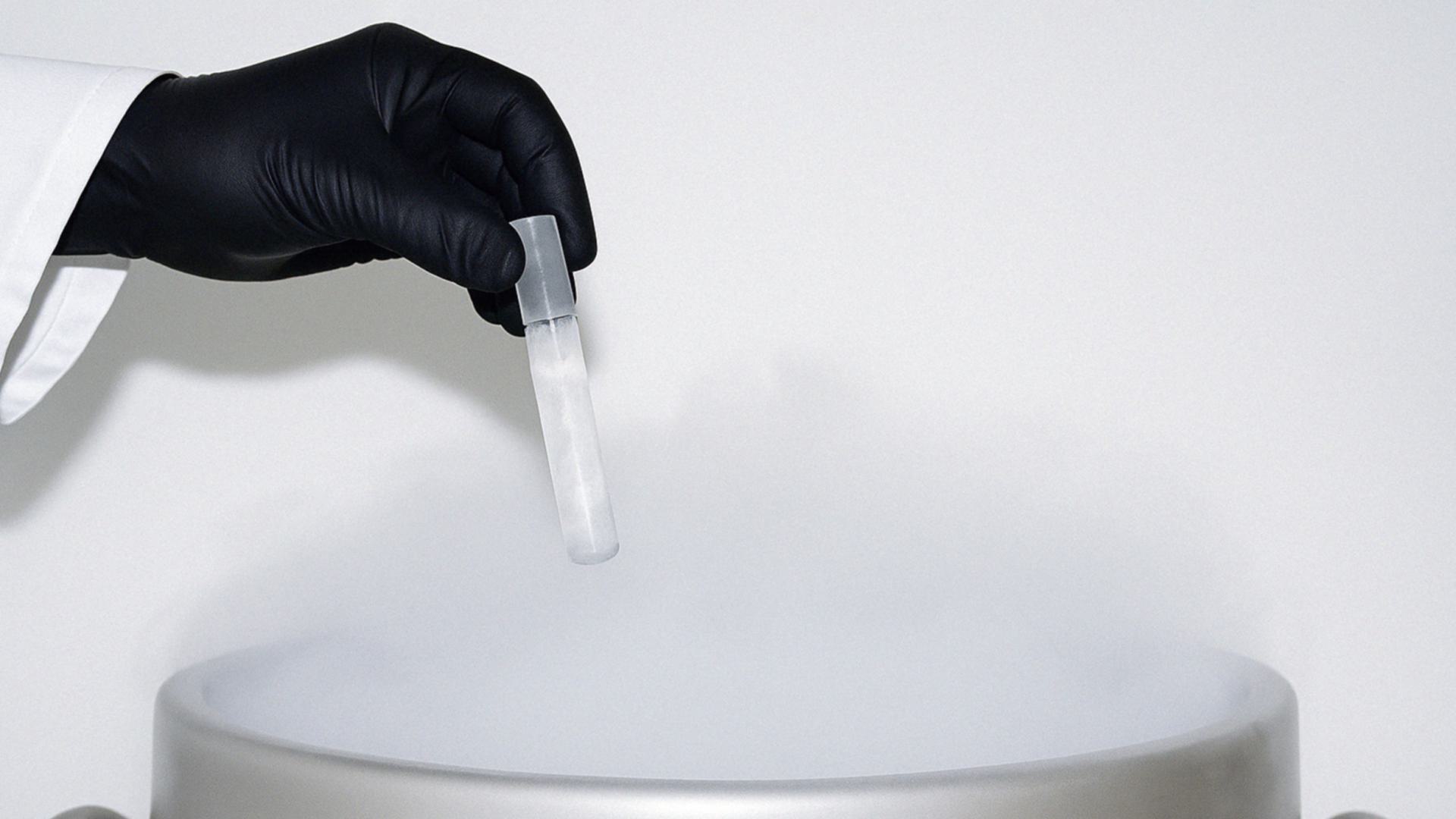 Cryopreservation in the laboratory