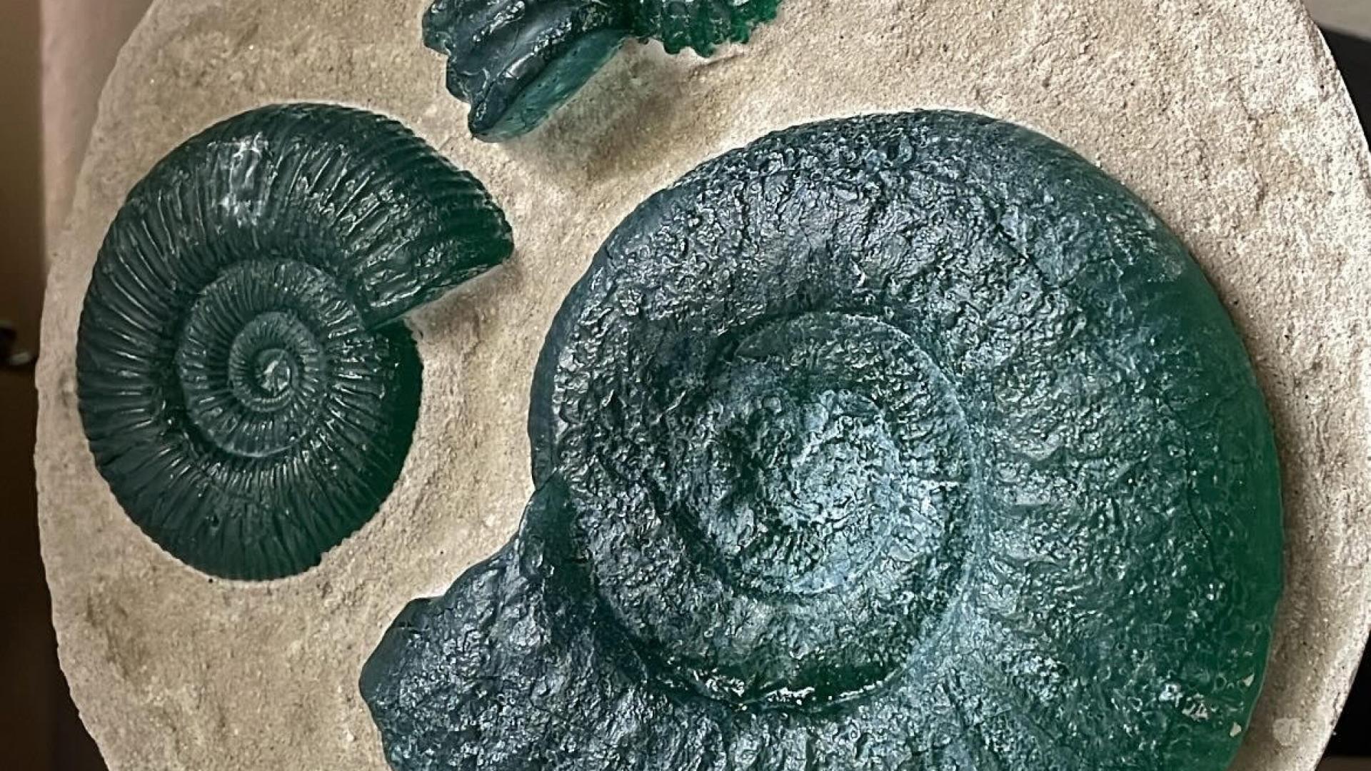 Glass Fossils