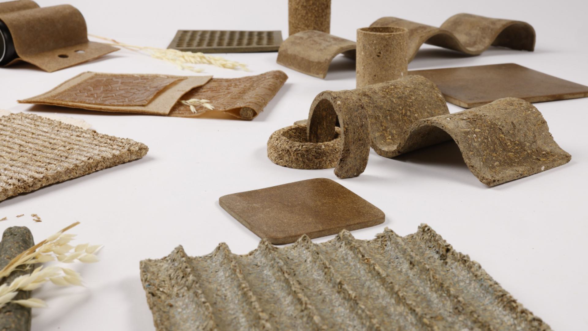 Orsolya Gerencsér: Spent grain based biocomposit