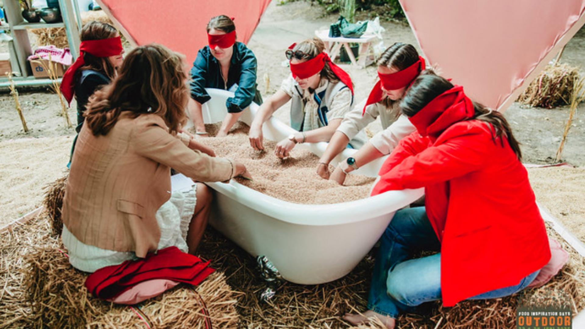 Graan Voelerij / Grain Sensation