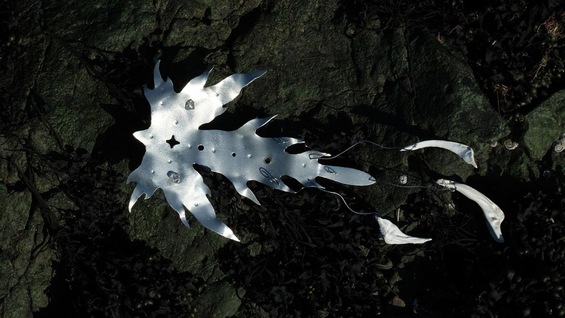 'Leaf Birds'