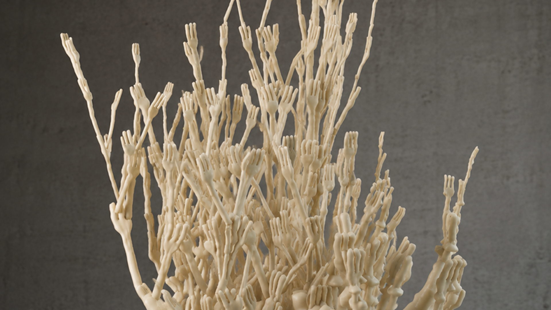 Investigations into natural growth patterns