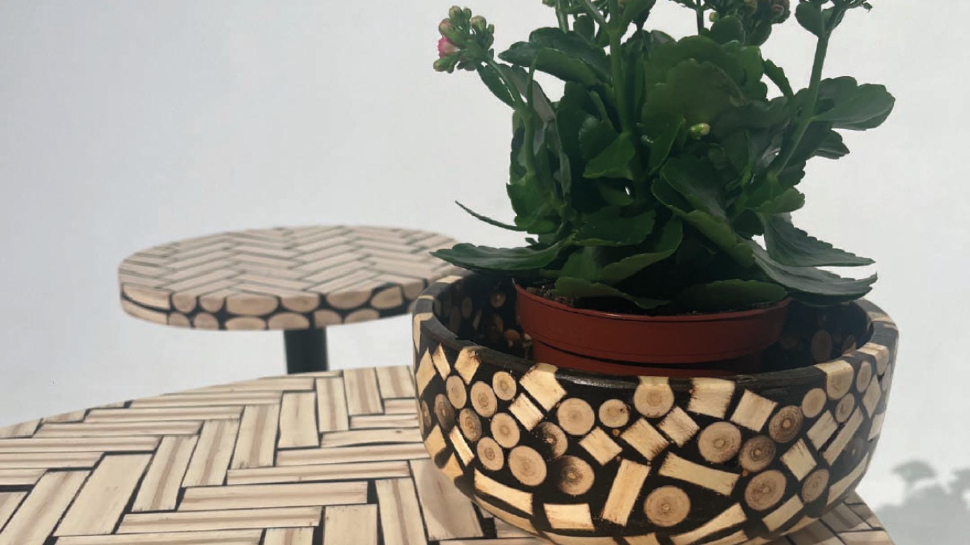 Raw Willow Bowl